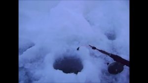 На природе в Коми ! 2015 (Зимняя ловля хариуса #5)