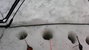 рыбалка на озере чаны , толстый карась на удочку...