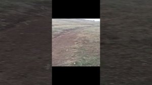 жизнь Строителя