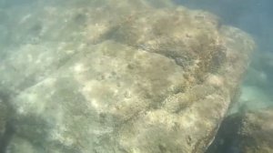 Снорклинг на Канон Пляже (перешеек с Kata Beach) в Пхукете