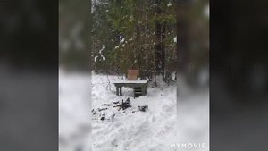 ТОЗ-66 легендарное ружьё!