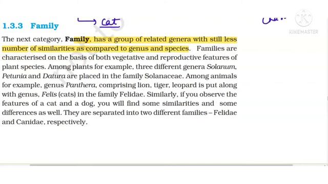 Taxonomy categories- genus , family and order смотреть онлайн