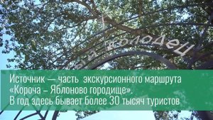 В Короче идёт обустройство родника Ясный колодец