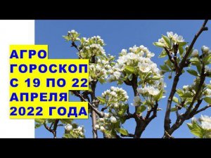 Агрогороскоп с 19 по 22 апреля 2022 года