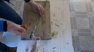 Me after watching a Lars Andersen video