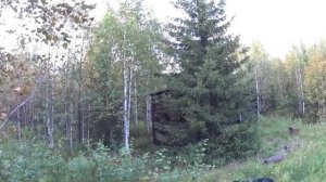 10 дней в глухой тайге. Одиночный поход. Старая землянка. Заброшенная деревня и буровая. Часть 2