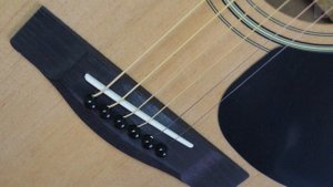 Yamaha F310