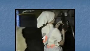 4 Технология машинного доения коров