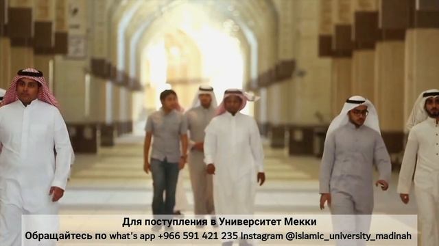 5 Лучших Исламских Университетов в Мире! Бесплатное Образование смотреть онлайн