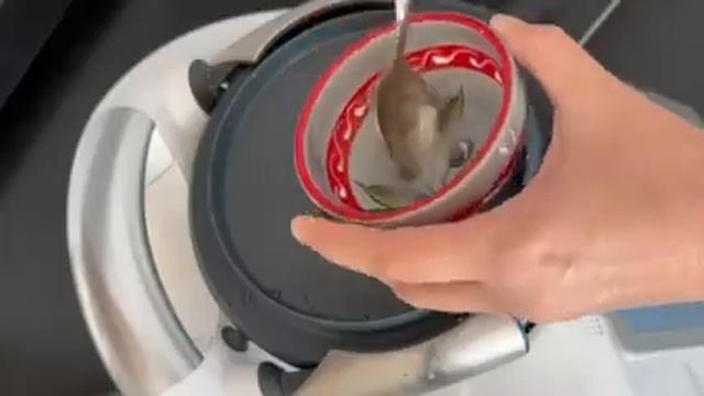 ДРОЖЖЕВОЕ ТЕСТО ДЛЯ ПИЦЦЫ ХОЛОДНОЙ РАССТОЙКИ  48Ч