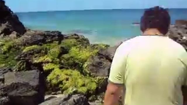 Video Manzanillo'Venezuela смотреть онлайн