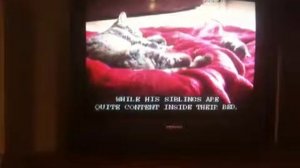 Cute Moment of Newborn Tabby Max: Animal Planet's Too Cute