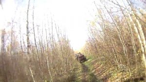 На Кошкино болото