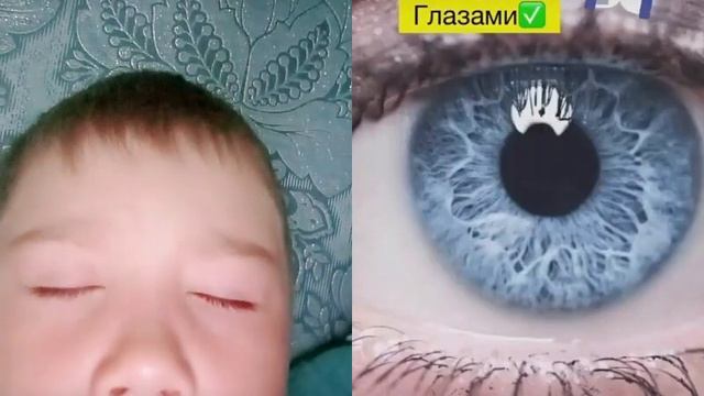 Я зелёная правда