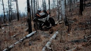 Стелс 800 D