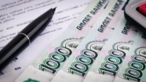 КУДА УХОДЯТ БЮДЖЕТНЫЕ ДЕНЬГИ, ВЫДЕЛЯЕМЫЕ НА ПОДДЕРЖКУ СЕЛА?
