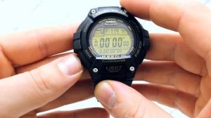 Часы Casio Illuminator W-S220-9A - видео обзор от PresidentWatches.Ru