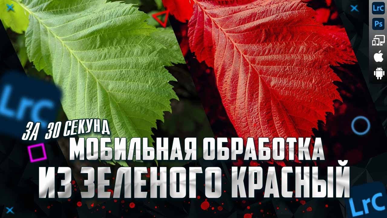 Мобильная фотография / Как из зеленого сделать красный / Обработка фото в Lightroom mobile #shorts