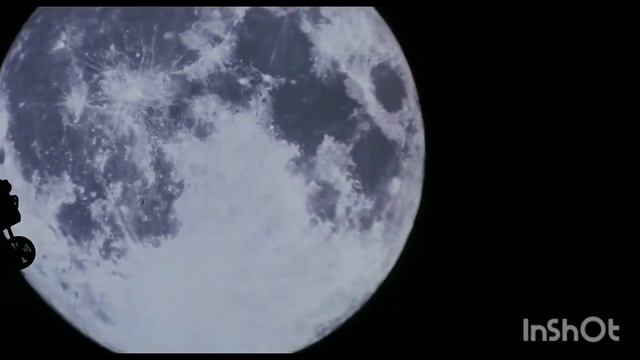 ADBF/SSI/Amblin Entertainment/Buena Vista Distribution Co., Inc. (1986) (For Seva) смотреть онлайн