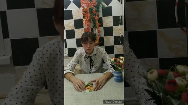 Выращивание герберы из семян