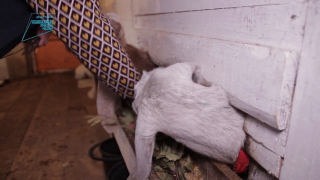 Из федерального бюджета выделено дополнительное финансирование на заключение социальных контрактов. смотреть онлайн