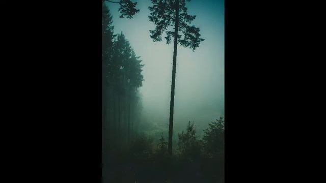 Первые фото сделаны мной с помощью Sony a 100 смотреть онлайн