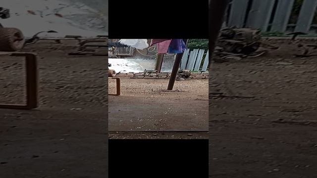 истории из жизни