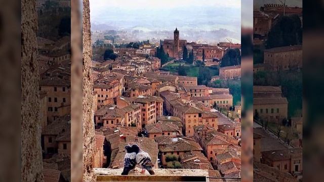 Духовная самооценка. Как правильно оценить самого себя? 548 смотреть онлайн