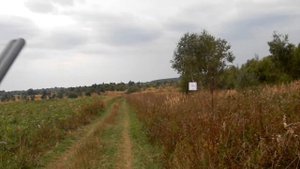 Ружье ИЖ 17 окончание восстановления.