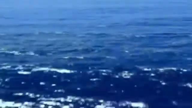 "ЧАЙКИ , НЕ КРИЧИТЕ РАДИ БОГА" смотреть онлайн