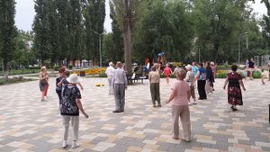 Распустилась черёмуха