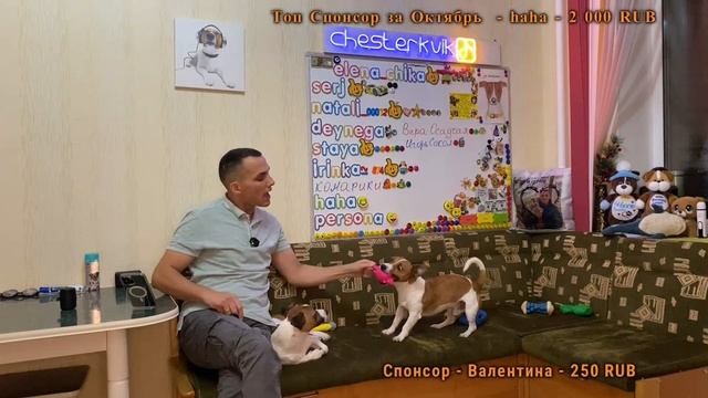 Человек Собаке Друг / 12.10.2023 смотреть онлайн