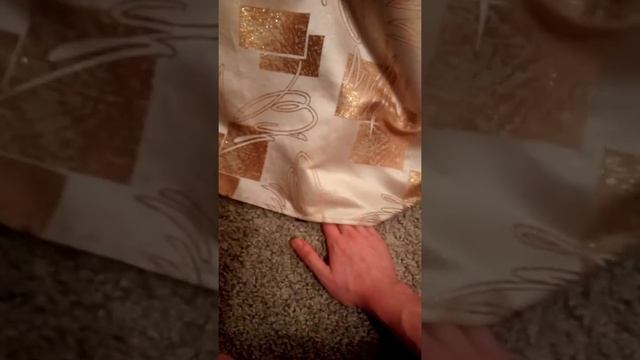 #БЕШЕНСТВО КОТ НАПАЛ НА ХОЗЯИНА И ЧУТЬ смотреть онлайн