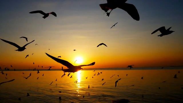 100 Фактов, которые вы никогда не знали: Взрыв мозга! смотреть онлайн