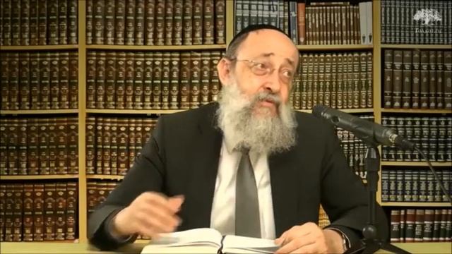 Какую профессию выбрать? Рав Ашер Кушнир смотреть онлайн