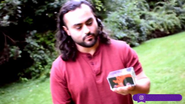 Ibanez RGA 321 FM Guitar Review смотреть онлайн