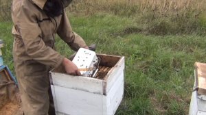 Кормушки Своими Руками Быстро и Дешево ПОДКОРМКА ПЧЕЛ ОСЕНЬЮ Пчелы Осенью #кормушки #бп
