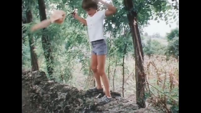 Каникулы Петрова и Васечкина. Профессия рыцарь.