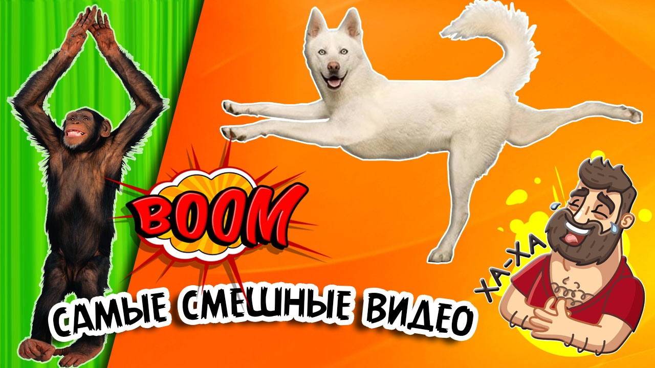 Приколы 2022