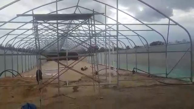 Как отзываются о работе компании Seleko смотреть онлайн