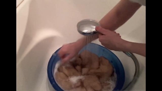 Собачья шерсть //Самоедская лайка //все подробности обработки шерсти//часть1// @lenagrigor смотреть онлайн