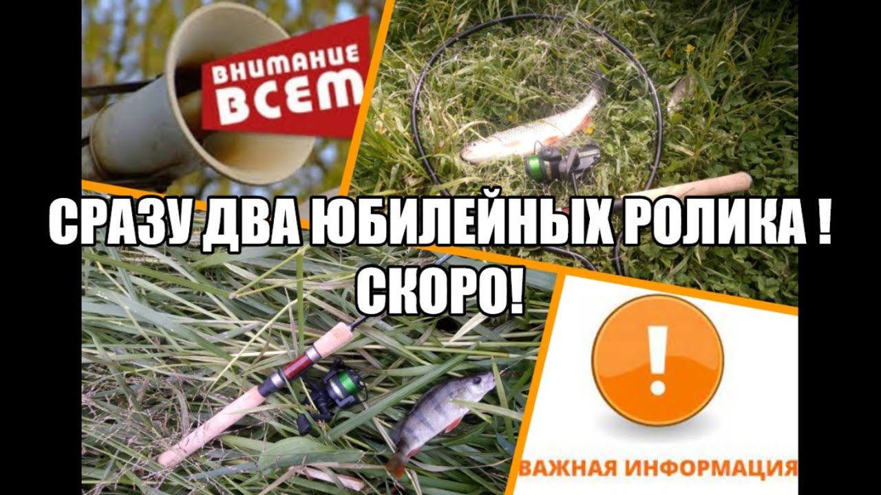 Новости для подписчиков. Две Германии. Свободу попугаям!