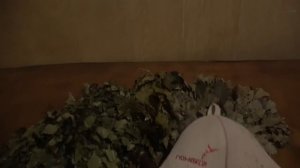 Банные фишки. Делюсь как париться в русской бане не только веником. Эмоции зашкаливают!