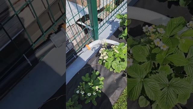 Нагреватель Для Бассейна Termopool Volcano Pro 50