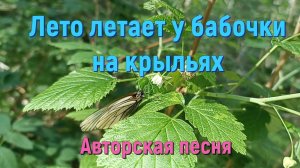 Песня ЛЕТО ЛЕТАЕТ У БАБОЧКИ НА КРЫЛЬЯХ, Стихи и музыка СВЕТЛАНЫ АВДЕЕВОЙ. Исполняет АВТОР.