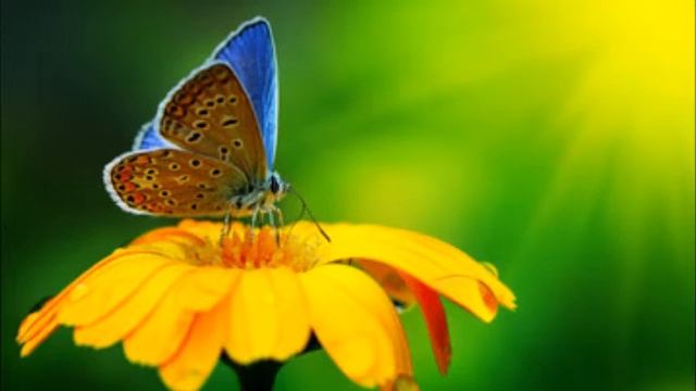 МОЛИСЬ смотреть онлайн