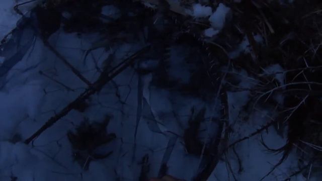 лавушка на фазана сработала но петька достался не мне смотреть онлайн