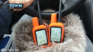 Тест на дальность Garmin Astro 430 / Astro 320 / Alpha 50 / Alpha 100