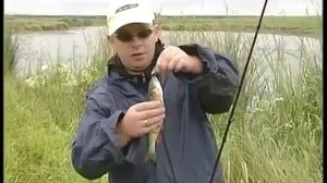 Ловля нахлыстом голавля, нахлыстовые мушки.