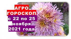 Агрогороскоп с 22 по 25 ноября 2021 года